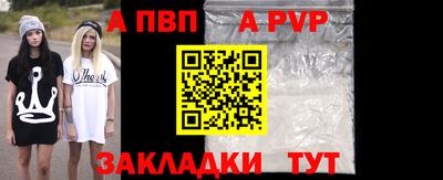 стафф Дубна