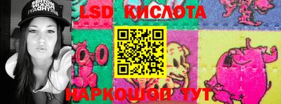 стафф Дубна