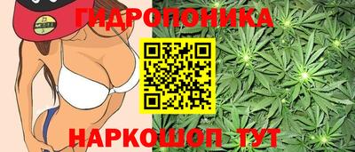 молекула духа Донецк
