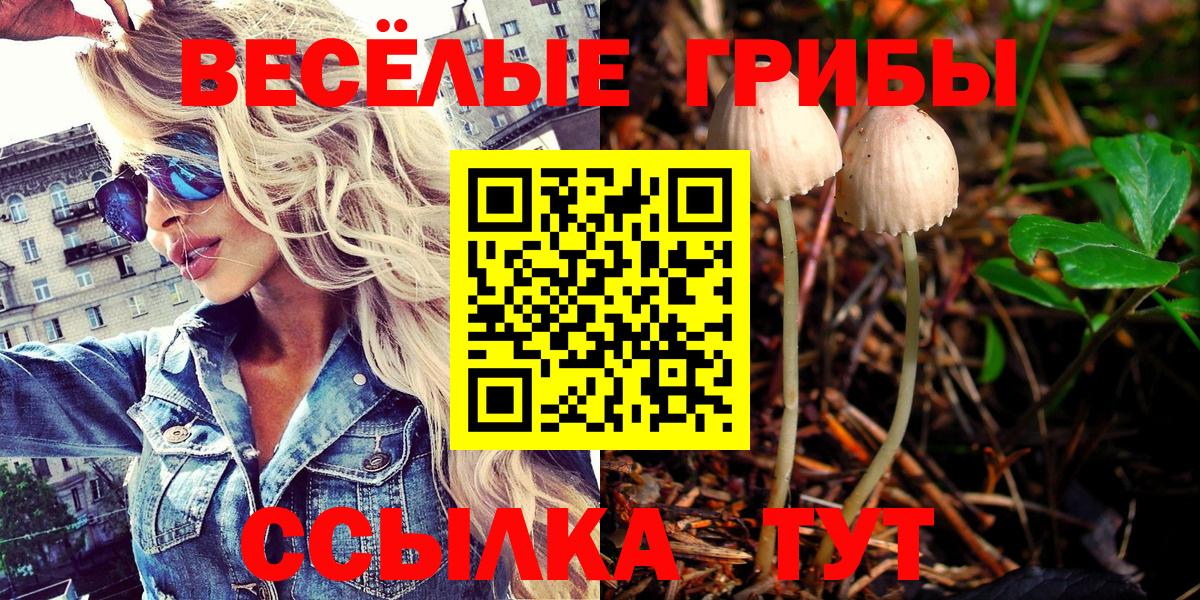 Галлюциногенные грибы прущие грибы Мурманск