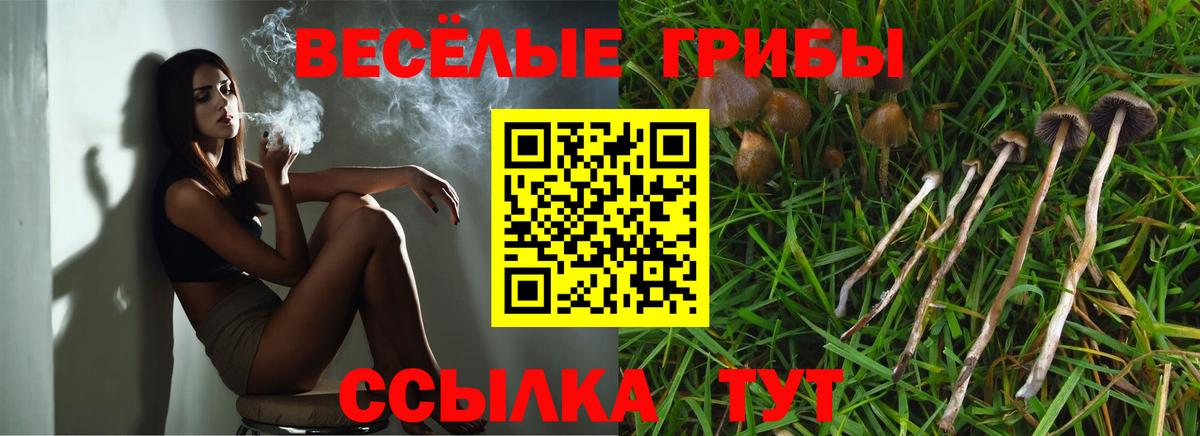 Галлюциногенные грибы мухоморы  Вход с VPN  Мурманск 